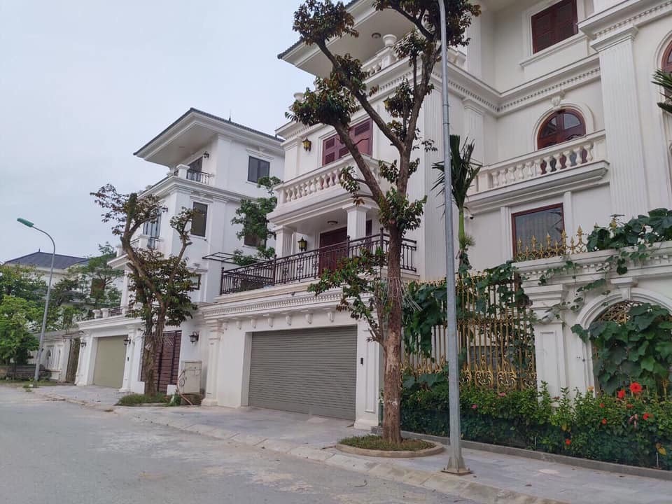 khu đô thị hồ xương rồng