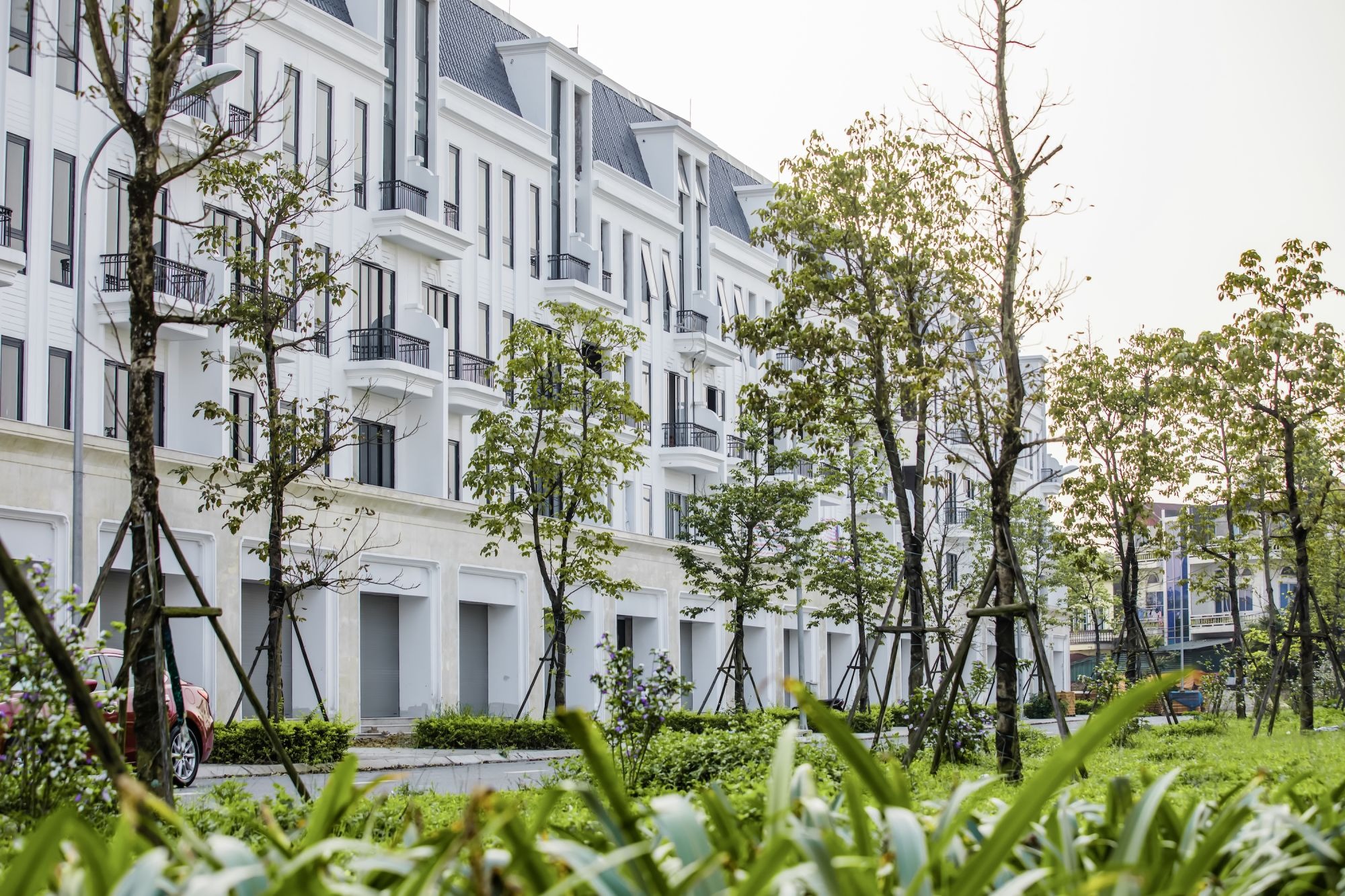 khu đô thị green park móng cái