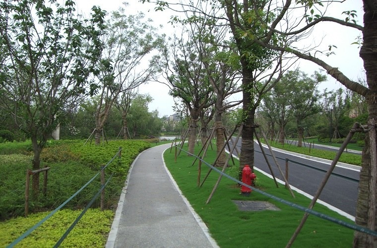 khu đô thị rose valley