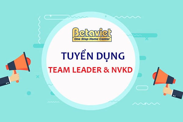 TUYỂN DỤNG VỊ TRÍ TEAM LEADER, NVKD BỘ PHẬN KINH DOANH