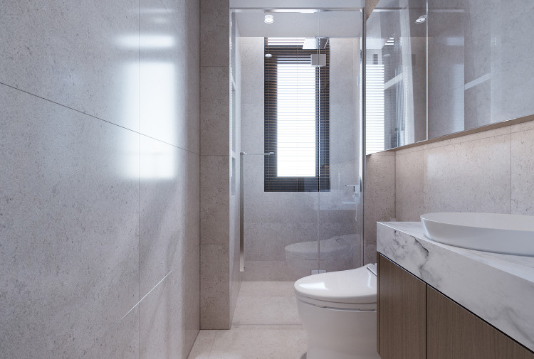Mẫu thiết kế wc biệt thự hiện đại NT5000164