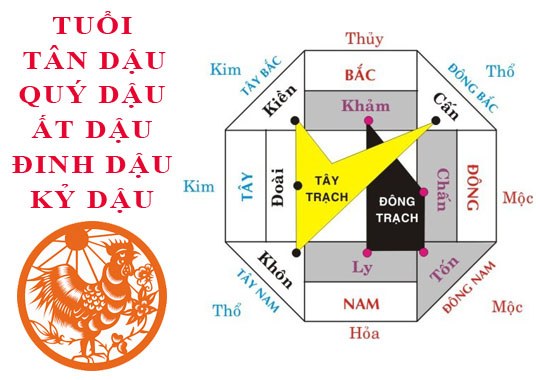 tuoi-ky-dau-lam-nha-nam-2026-luan-giai-phong-thuy-huong-dan-chi-tiet-va-bi-quyet-xay-nha-dai-cat-3