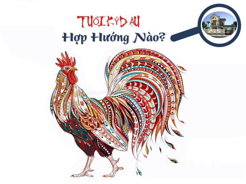 tuoi-ky-dau-lam-nha-nam-2026-luan-giai-phong-thuy-huong-dan-chi-tiet-va-bi-quyet-xay-nha-dai-cat-7