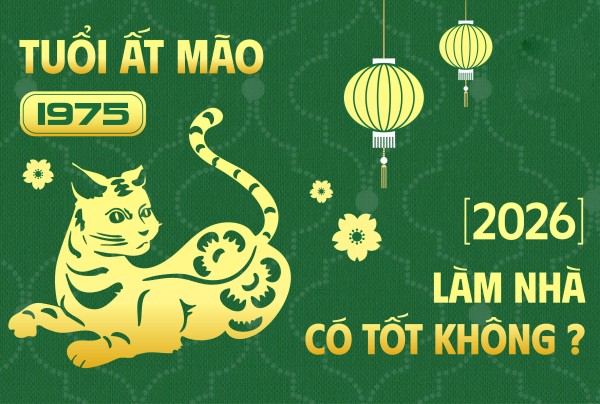 Tuổi Ất Mão Làm Nhà Năm 2026: Luận Giải Chi Tiết, Giải Pháp Và Lời Khuyên Từ Chuyên Gia