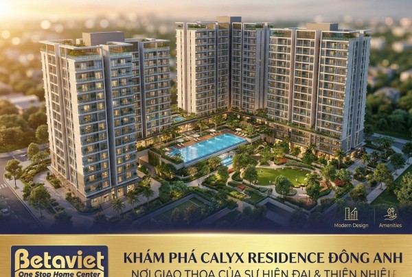 Chung Cư Calyx Residence Đông Anh: Review Chi Tiết Vị Trí, Giá & Nội Thất 2026