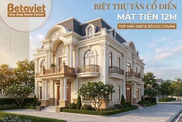 Biệt Thự Tân Cổ Điển Mặt Tiền 12m: Top Mẫu Đẹp & Bố Cục Chuẩn 2026