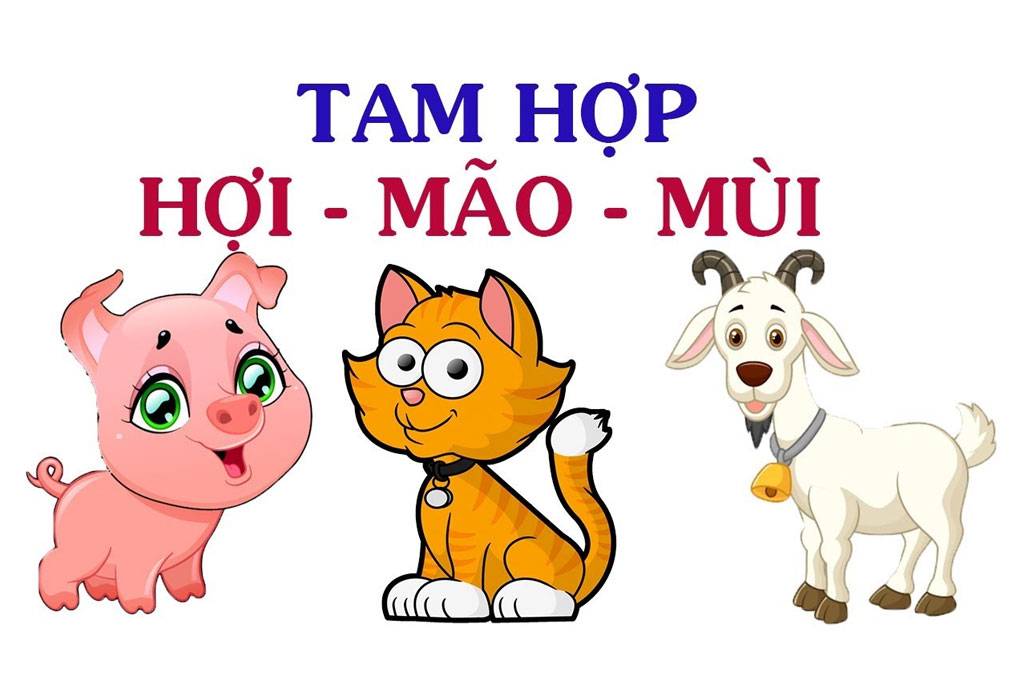 Tuổi Phạm Tam Tai Năm 2027: Ai Không Nên Xây Nhà Trong Năm Đinh Mùi?