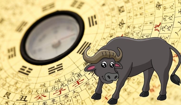 Tuổi Quý Sửu 1973 làm nhà năm 2027: Có phạm Kim Lâu, Hoang Ốc, Tam Tai không?