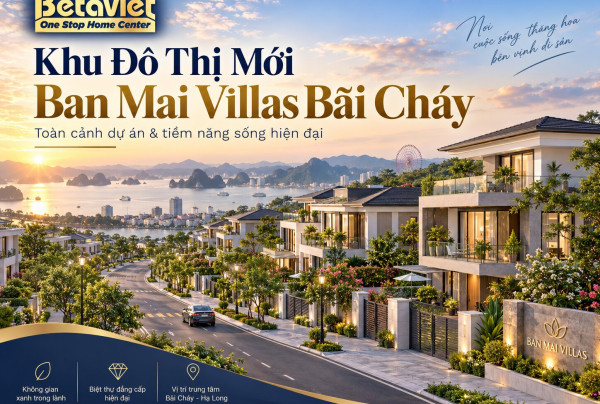 Khu Đô Thị Mới Ban Mai Villas Bãi Cháy: Vị Trí, Pháp Lý, Giá Đất