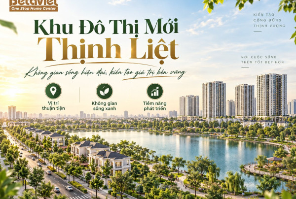 Khu Đô Thị Mới Thịnh Liệt: Vì Sao Vẫn Bỏ Hoang Sau 20 Năm?