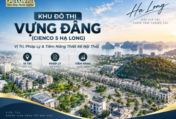 Khu Đô Thị Vựng Đâng (Cienco 5 Hạ Long): Vị Trí, Pháp Lý & Tiềm Năng Thiết Kế Nội Thất